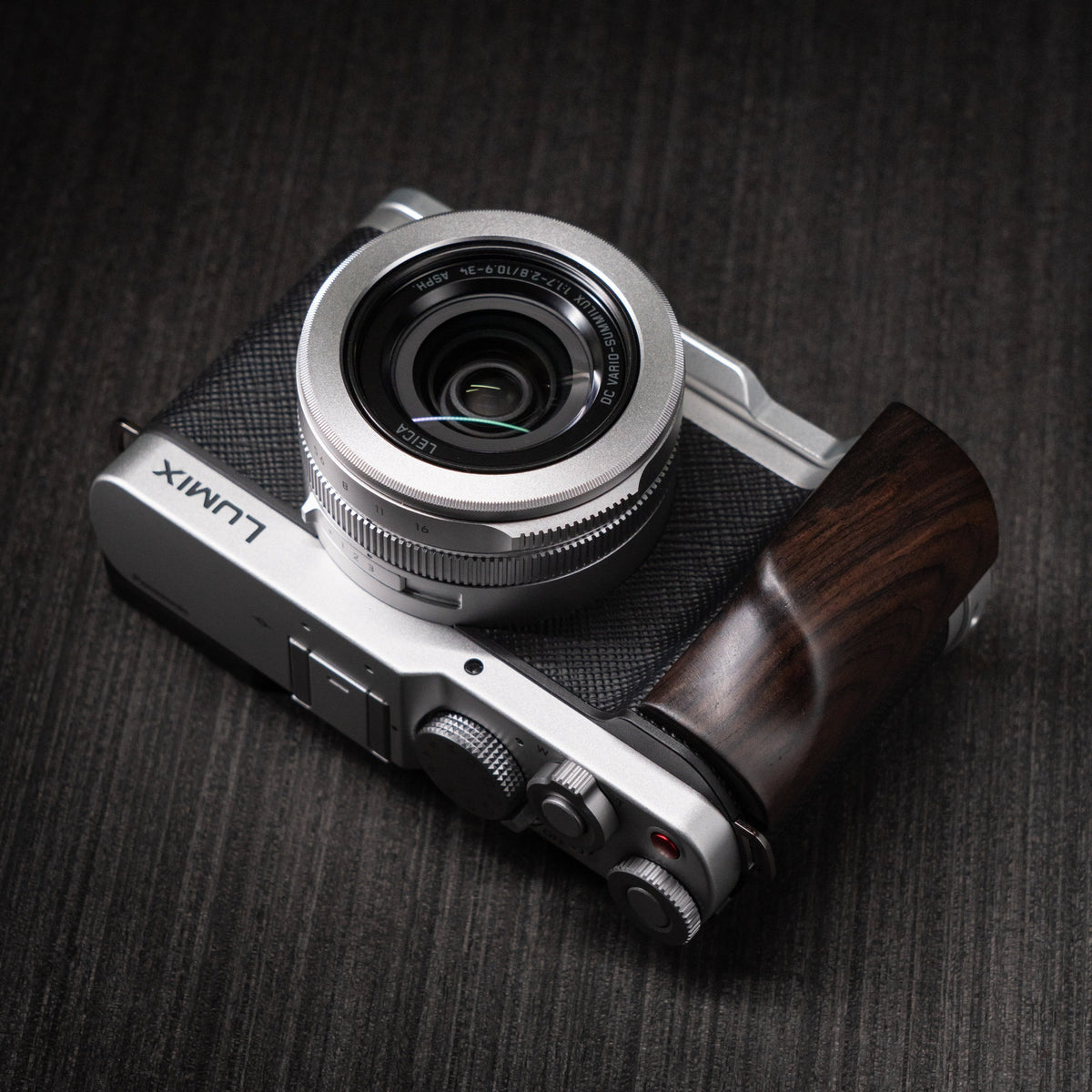 Camera Grip for Lumix L10